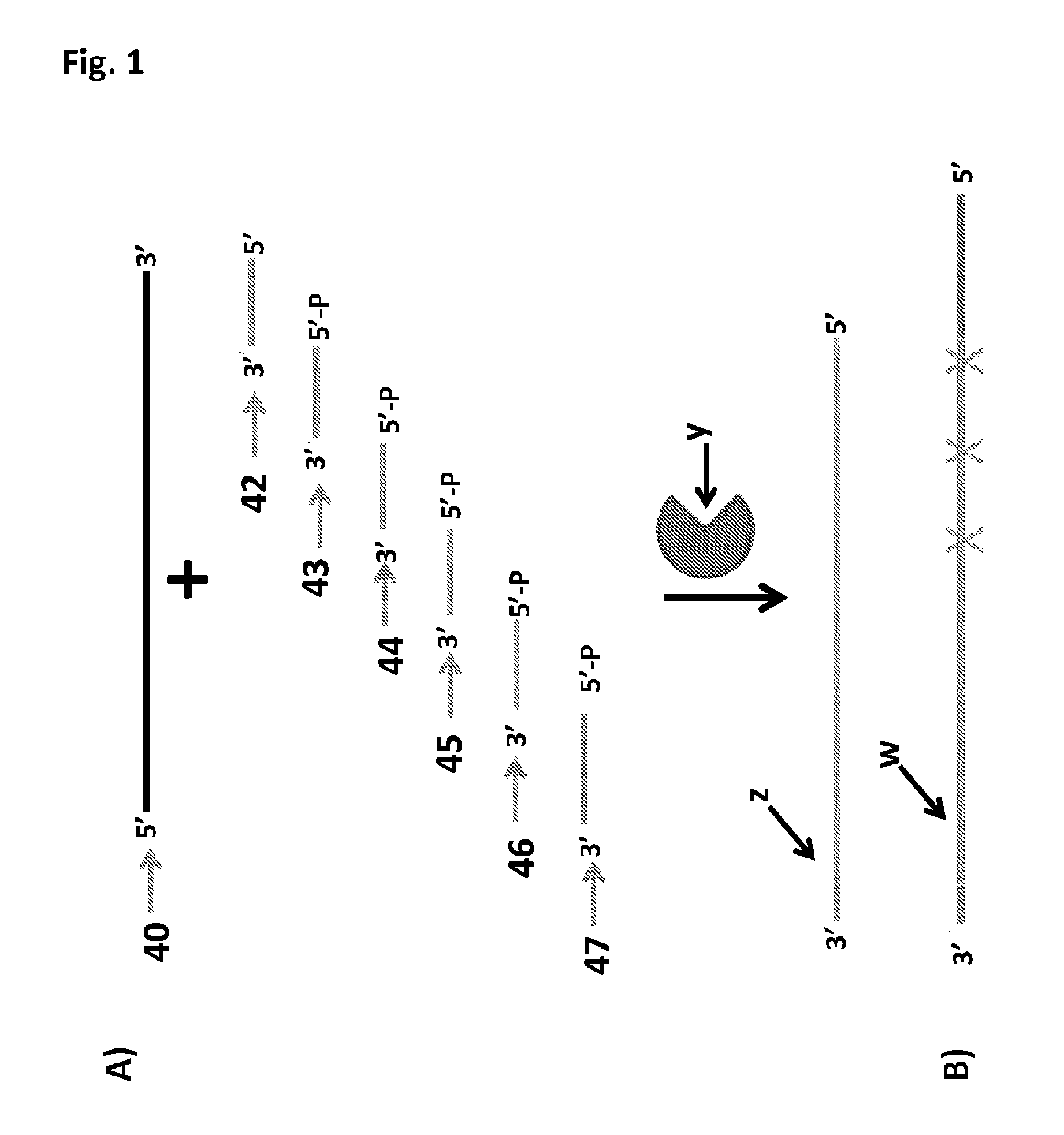 Sample preparation method