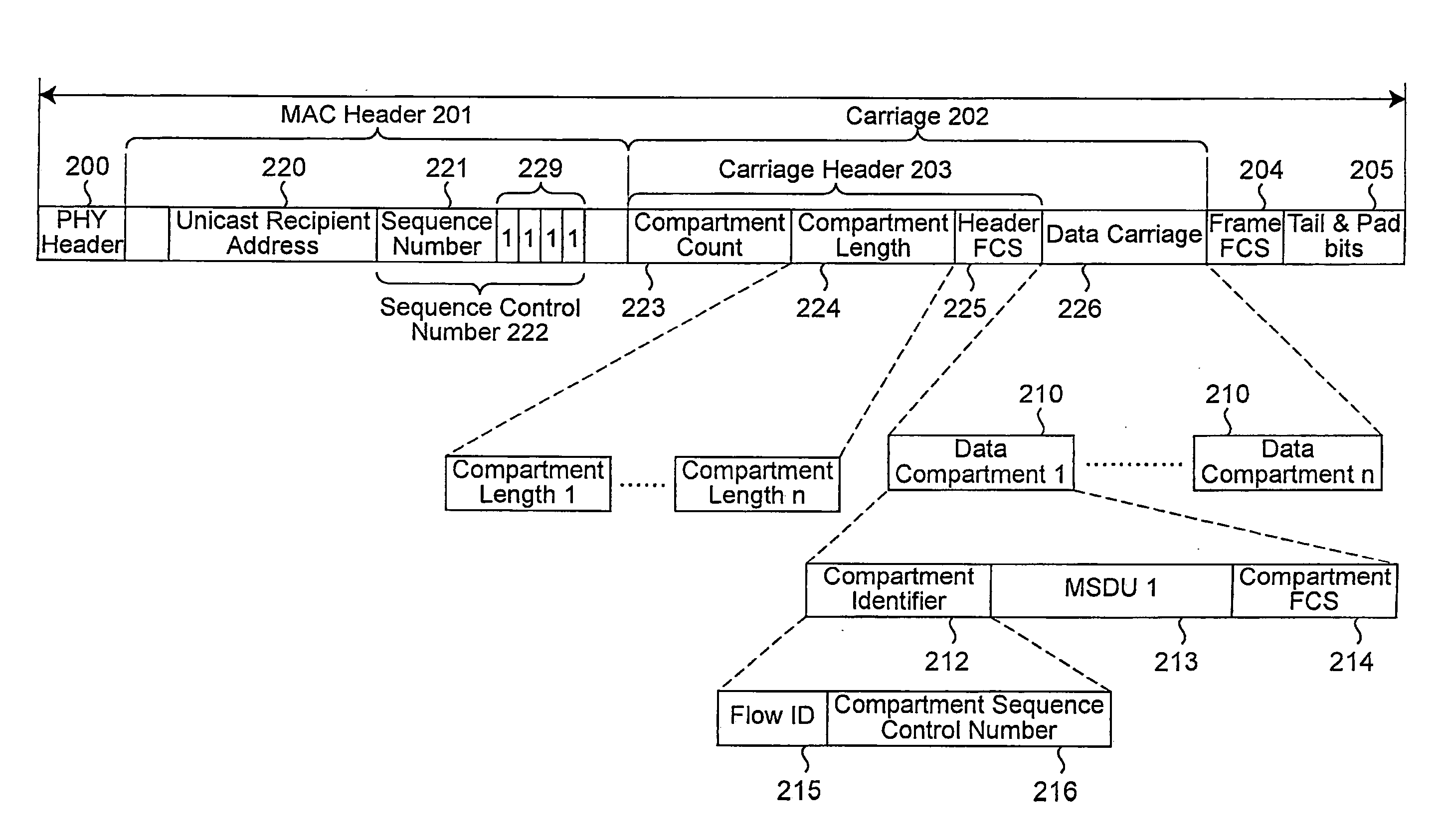 Method And Apparatus For Generating Packet Frames For Carrying Data