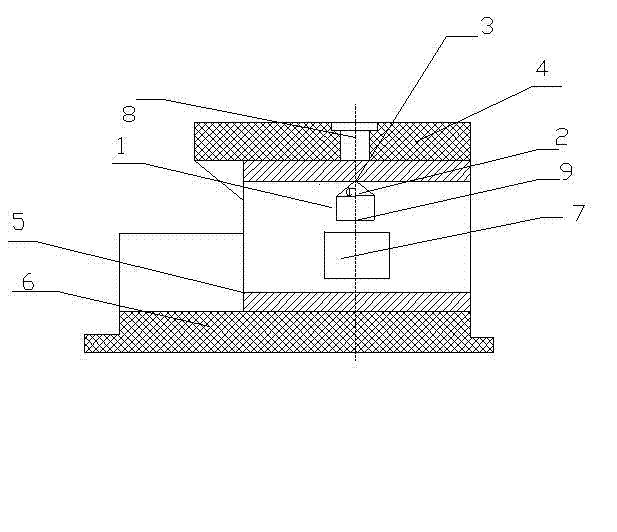 Plug used for shaping of branch pipe of super pipeline and process for shaping branch pipe of pipeline by using the same