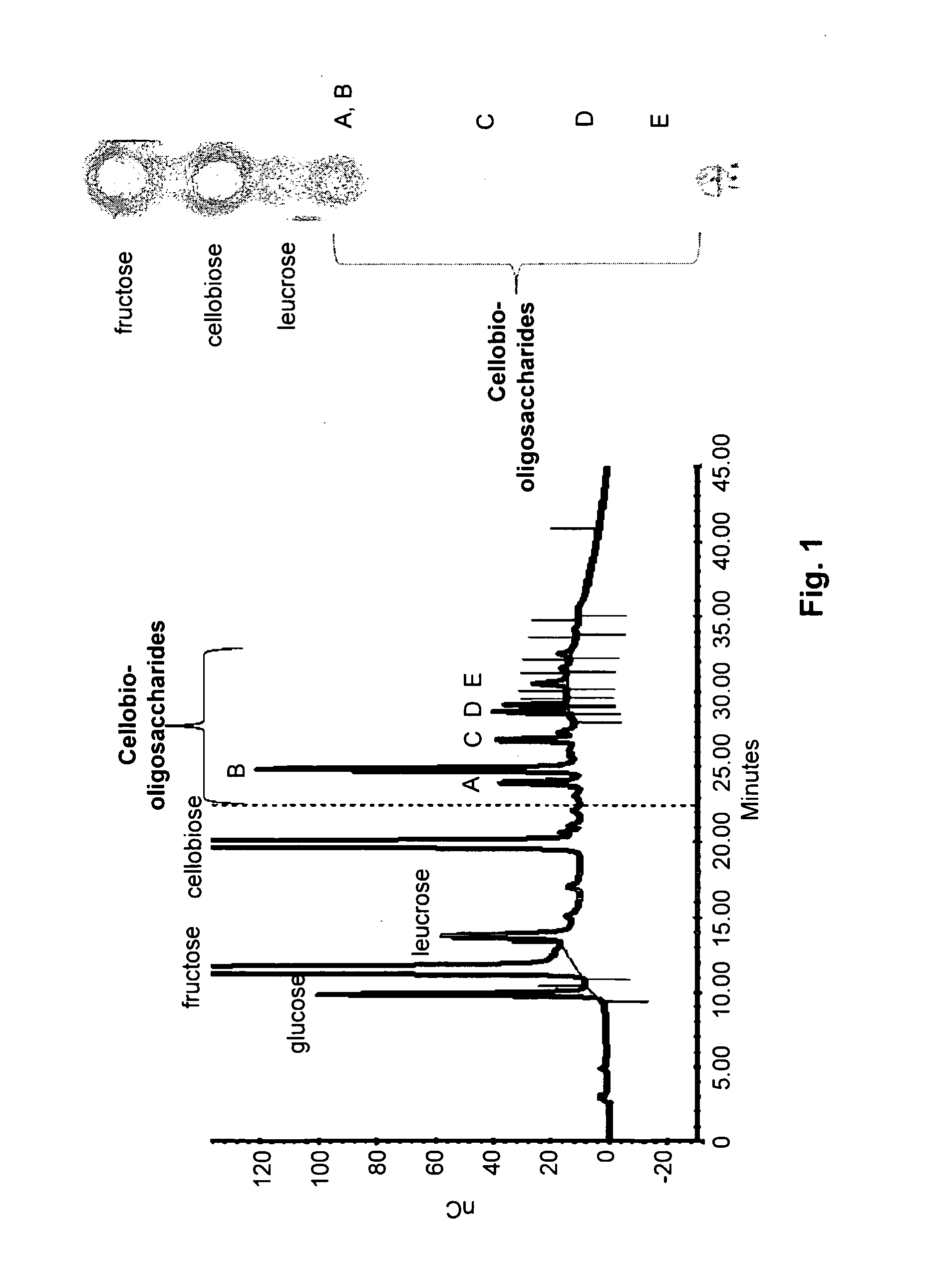 Antifungal and Anti-Cariogenic Cellobio-Oligosaccharides Produced by Dextransucrase