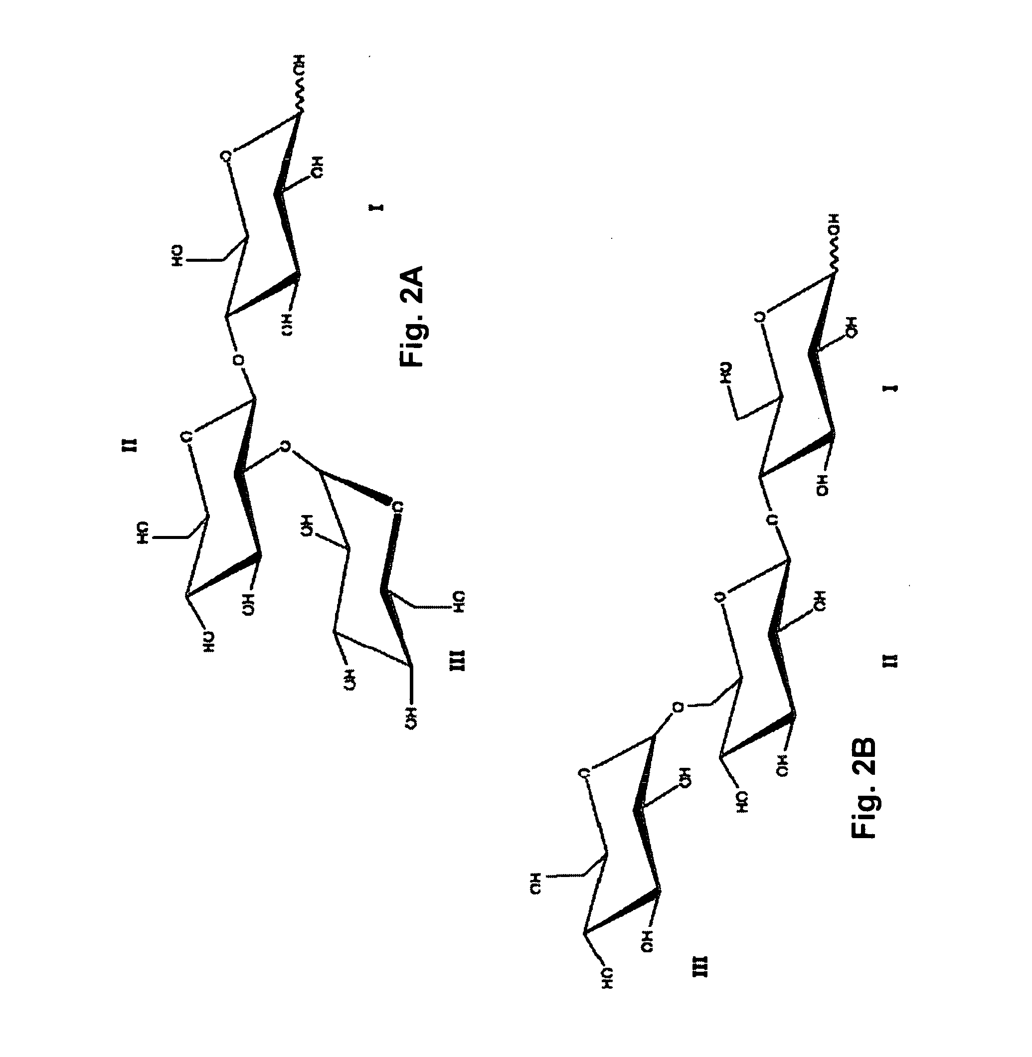 Antifungal and Anti-Cariogenic Cellobio-Oligosaccharides Produced by Dextransucrase