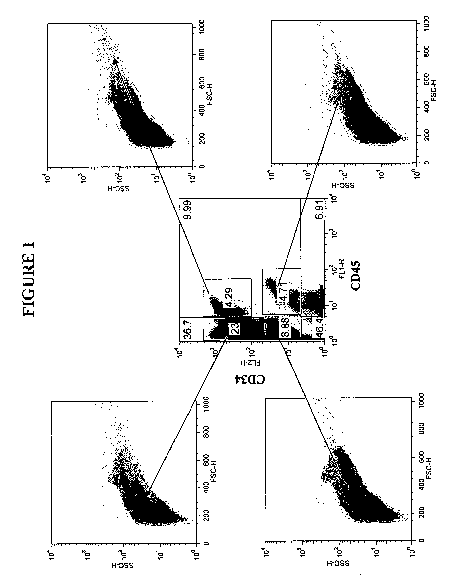 Isolation and purification of hematopoietic stem cells from post-liposuction lipoaspirates