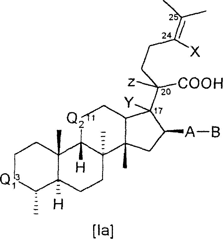 Novel fusidic acid derivatives