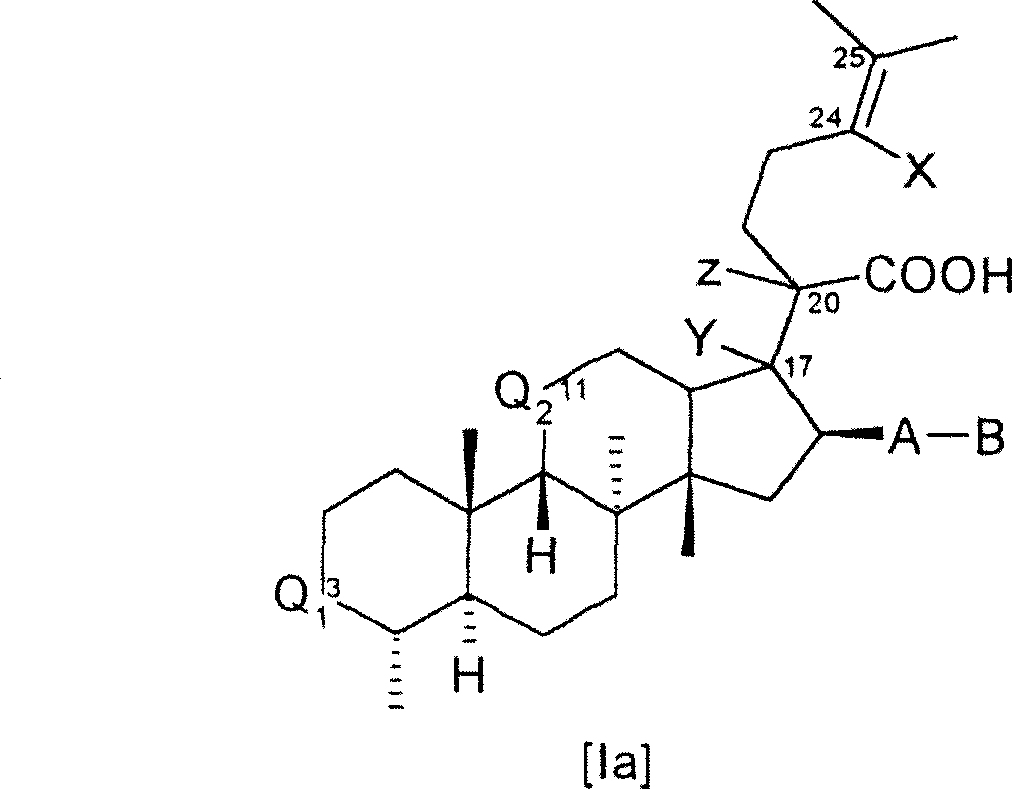 Novel fusidic acid derivatives