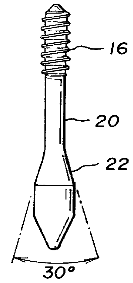 Allograft bone fixation screw method and apparatus