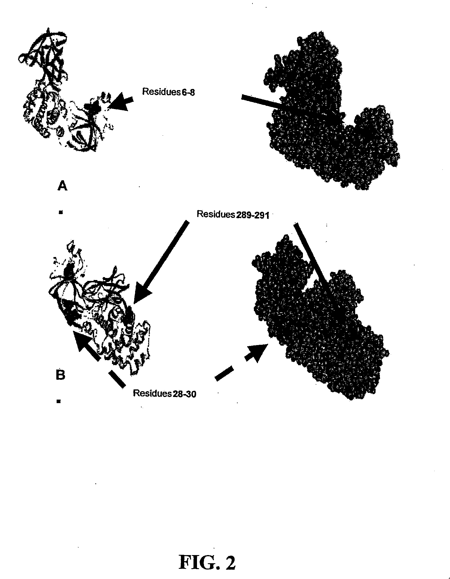 Diphtheria toxin variant