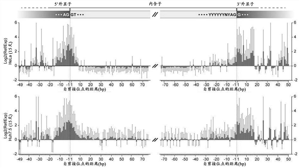 Method for Screening and Identifying Functional lncRNAs