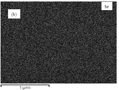 Preparation method of Se-C positive electrode composite material of lithium-selenium battery