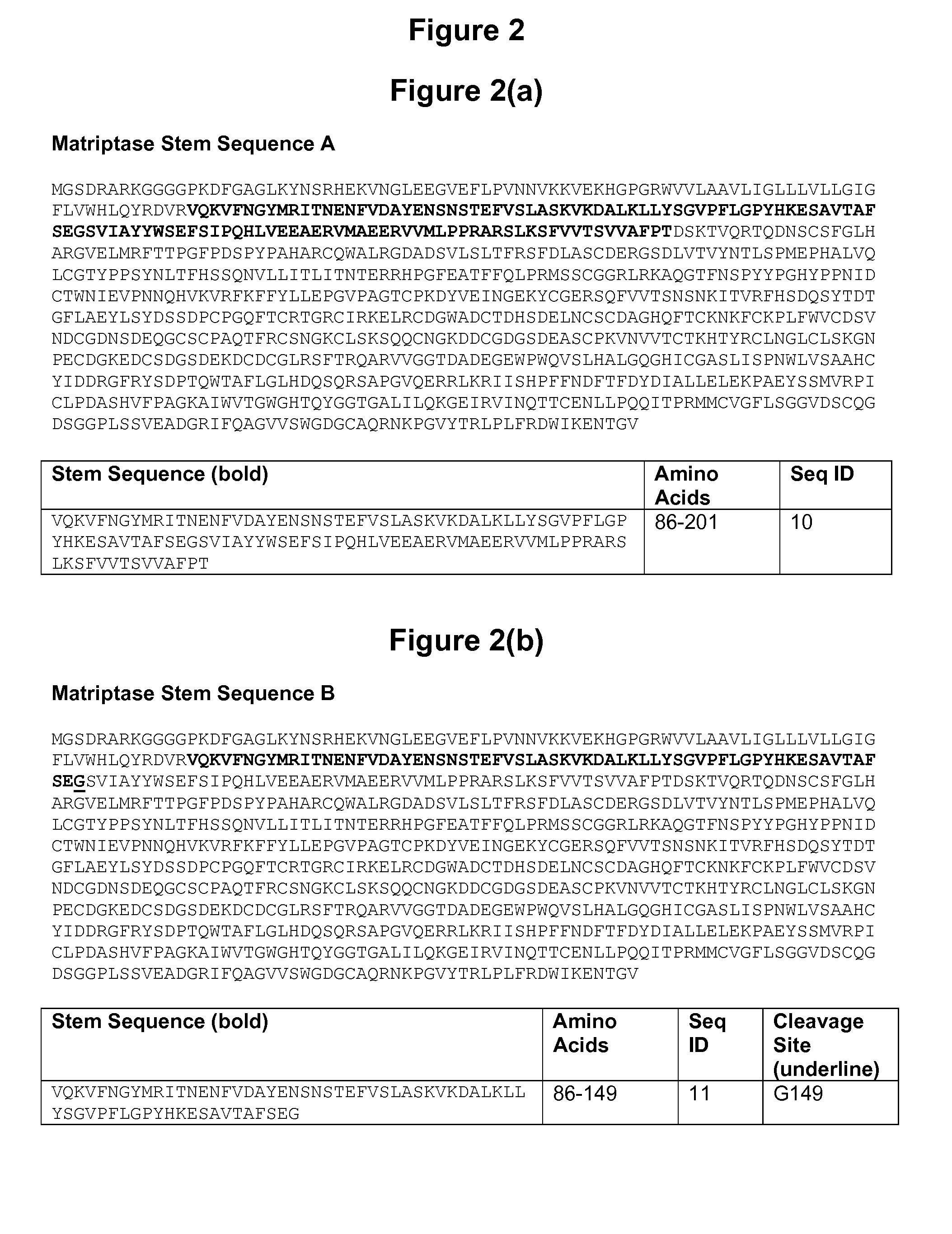 Matriptase protein and uses thereof