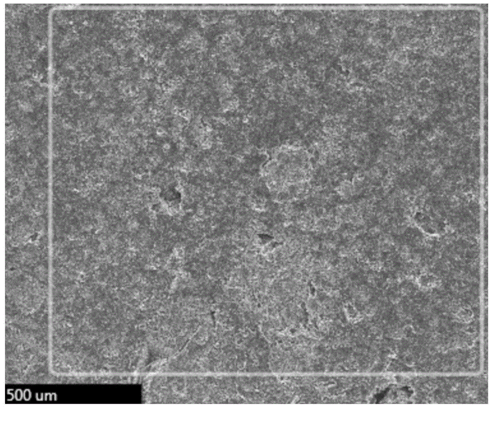 Micro-expansion hydrophobic polyurethane cement mortar composition and preparation method thereof