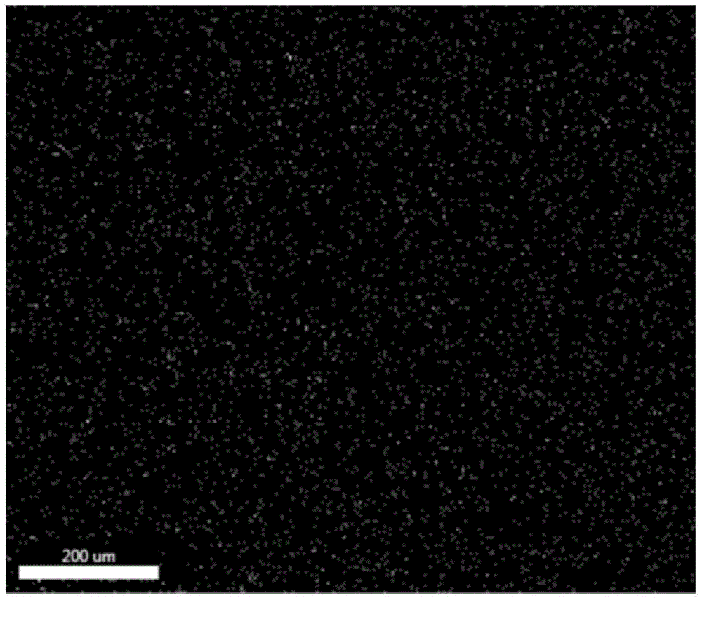 Micro-expansion hydrophobic polyurethane cement mortar composition and preparation method thereof