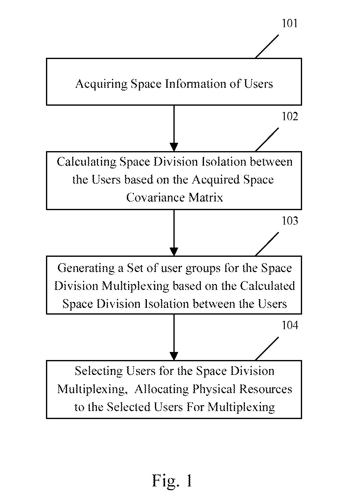 Method and apparatus for realizing space division multiplexing