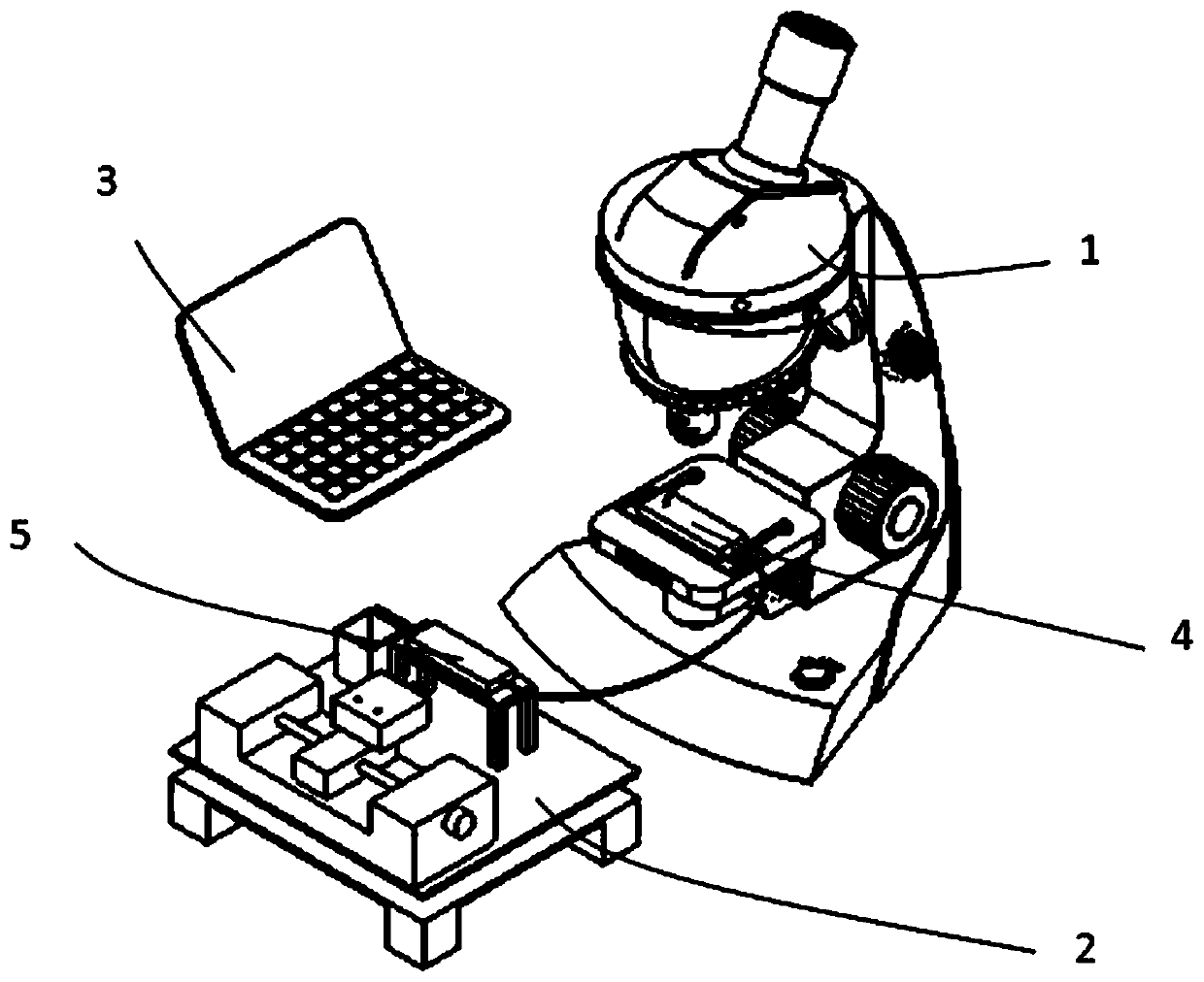 A water flooding oil microscopic physical simulation experiment device and method