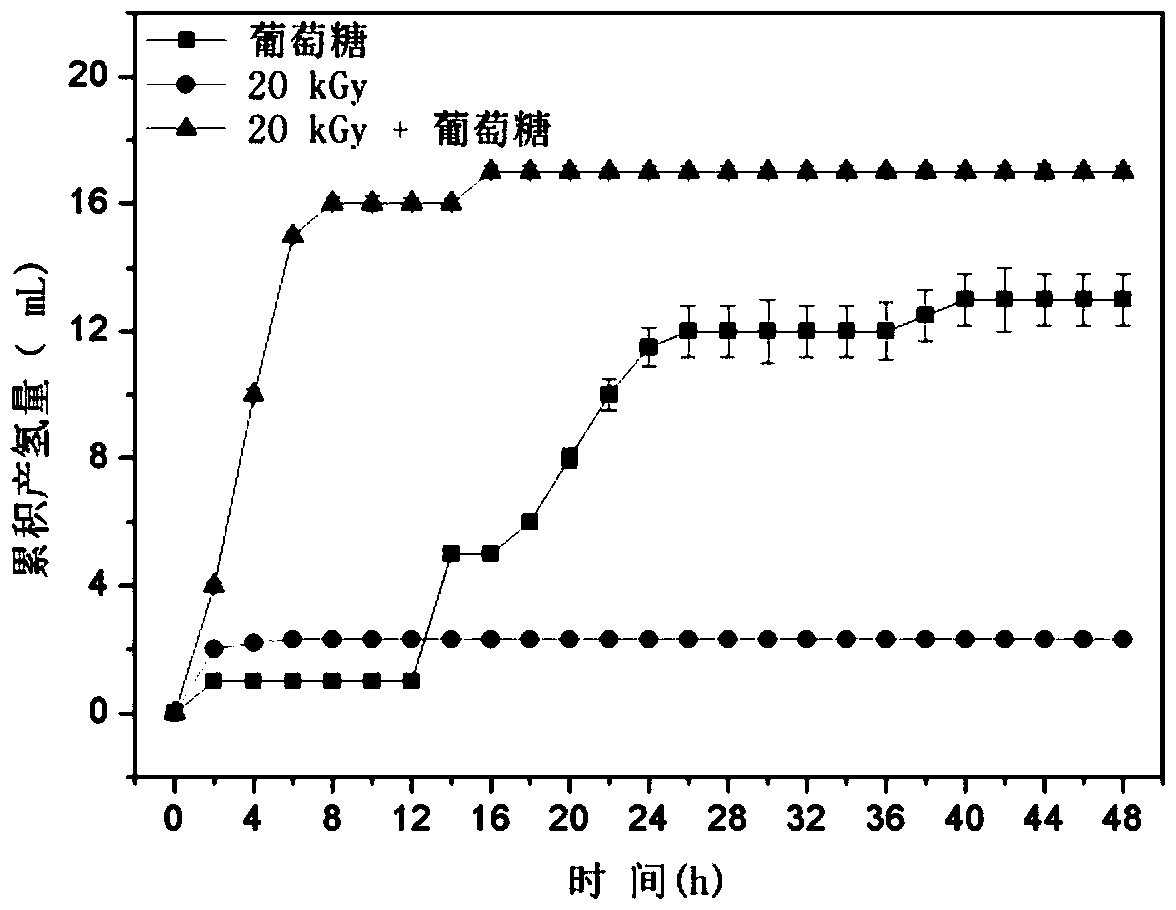 A method for decomposing excess sludge and its application in hydrogen production by fermentation