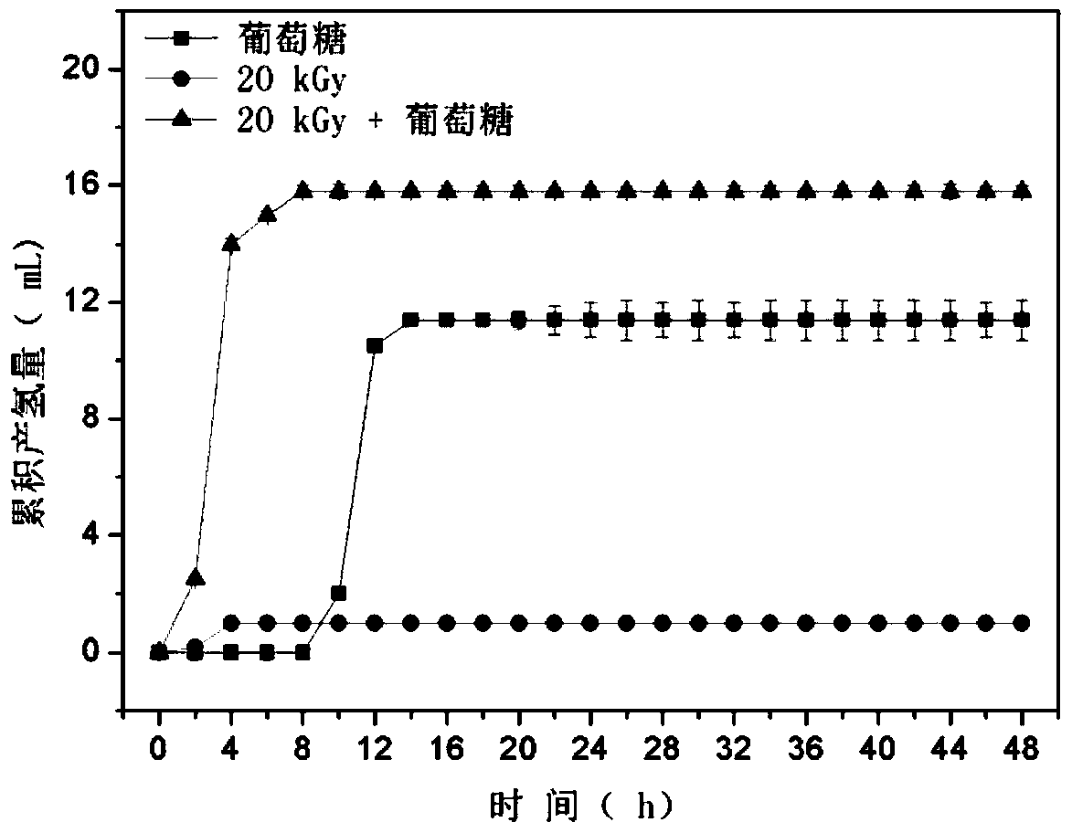 A method for decomposing excess sludge and its application in hydrogen production by fermentation