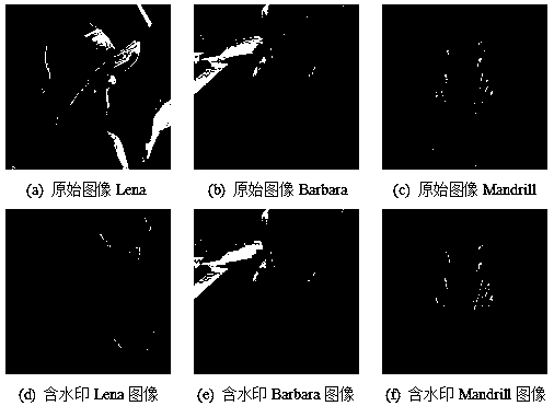 Super-pixel-based quaternion wavelet domain image watermark detection method