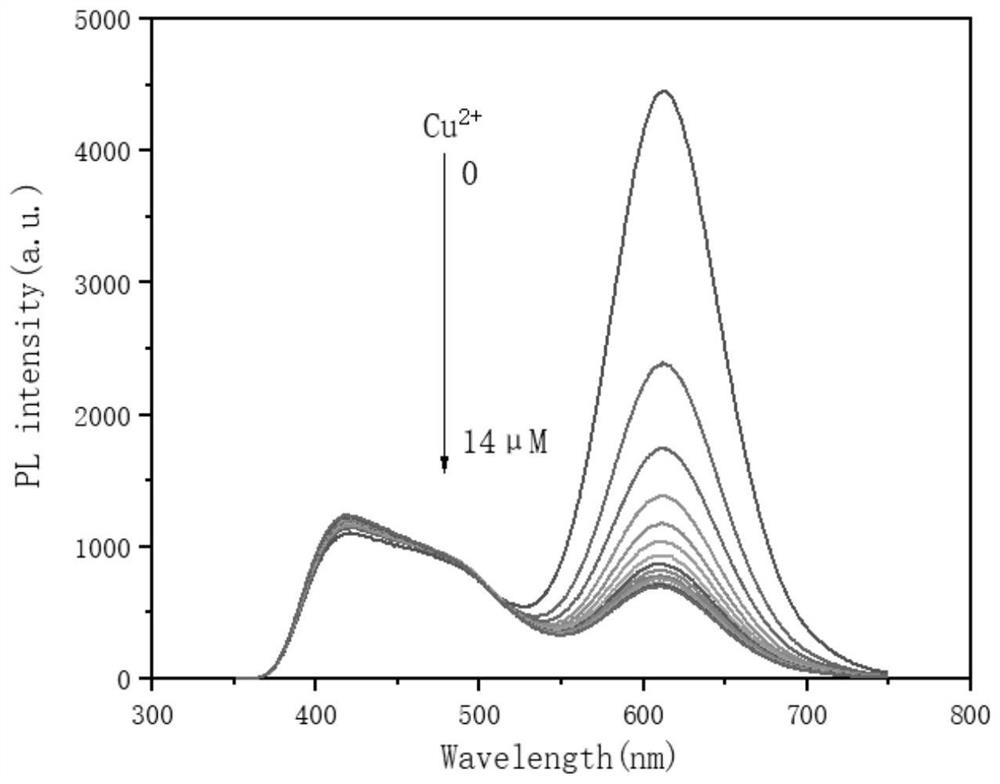 Ratiometric fluorescent probe and application thereof in penicillamine detection