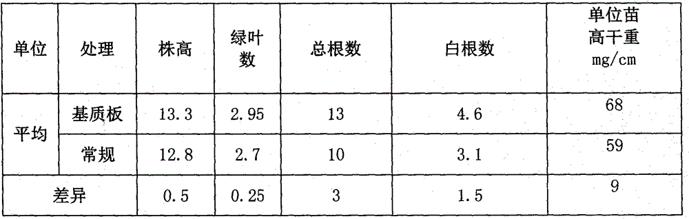 Soilless rice nursery straw substrate and preparation method thereof