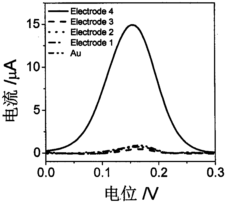 Preparation method of electrochemical biosensor for simultaneously detecting HAT and TdT and application thereof