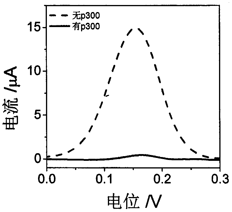 Preparation method of electrochemical biosensor for simultaneously detecting HAT and TdT and application thereof