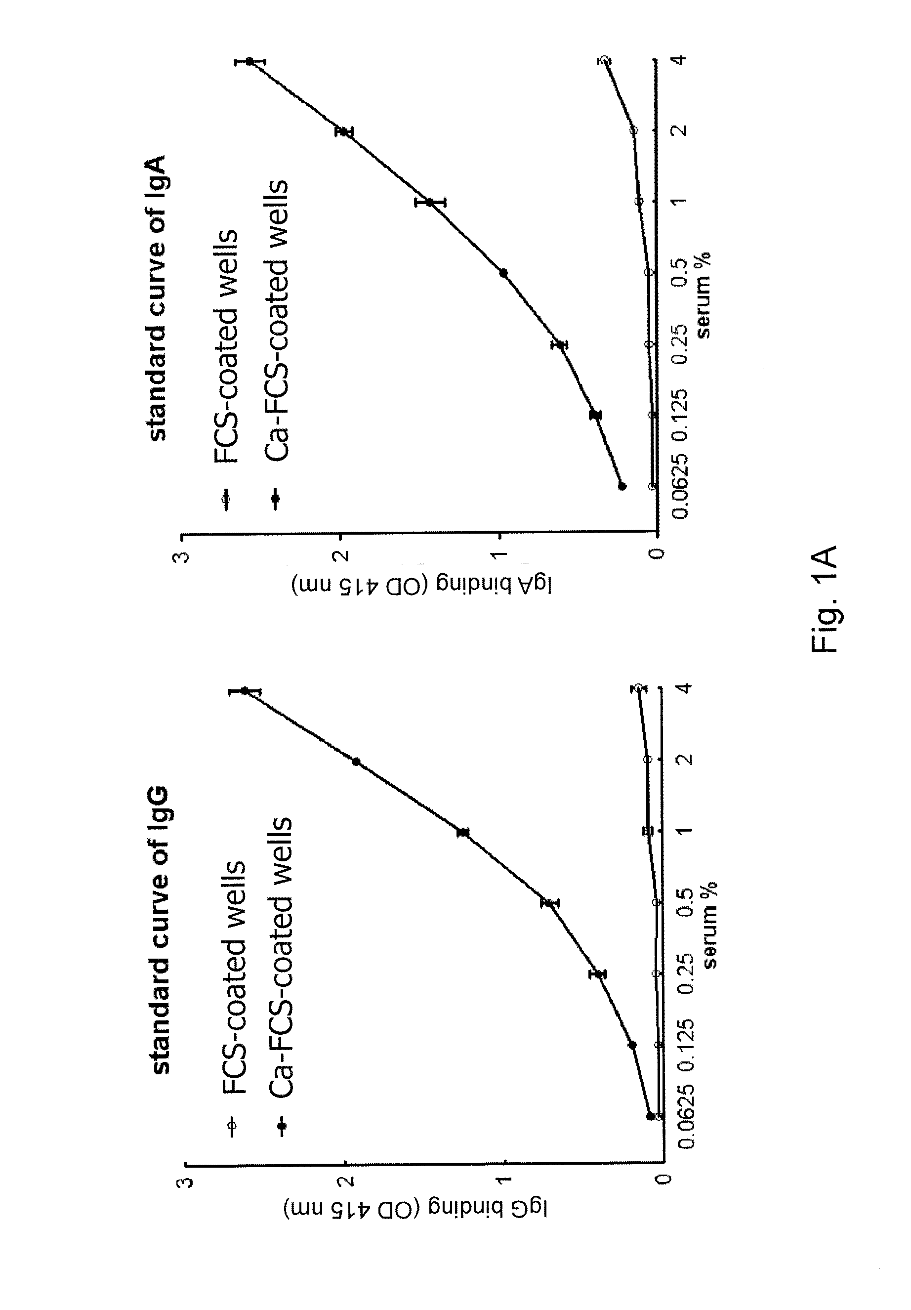 Anti-carbamylated protein antibodies and the risk for arthritis