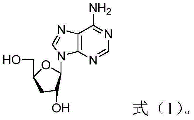 Application of cordycepin in preparation of pharmaceuticals cooperating with radiotherapy and/or chemotherapy to treat tumors, and pharmaceutical composition