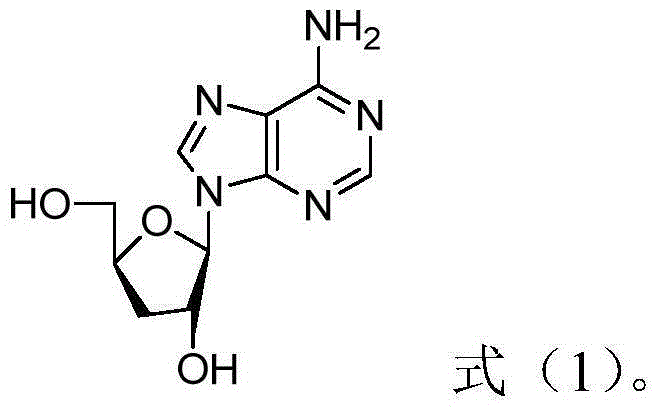 Application of cordycepin in preparation of pharmaceuticals cooperating with radiotherapy and/or chemotherapy to treat tumors, and pharmaceutical composition