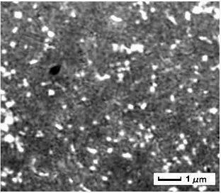 Iron-based composite material reinforced by in-situ titanium carbide grains and preparing method thereof