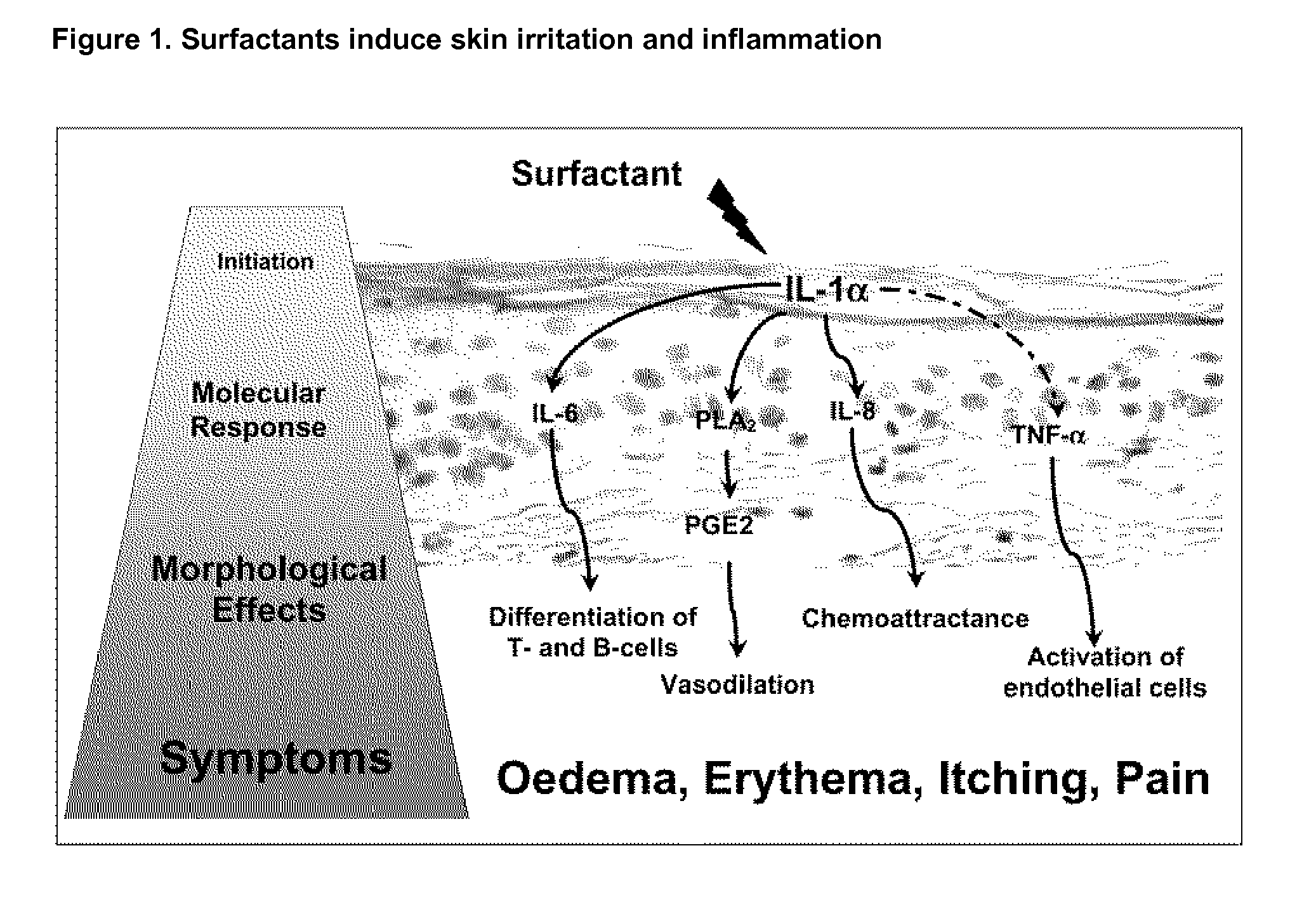 Bioactive Botanical Compositions and Uses Thereof