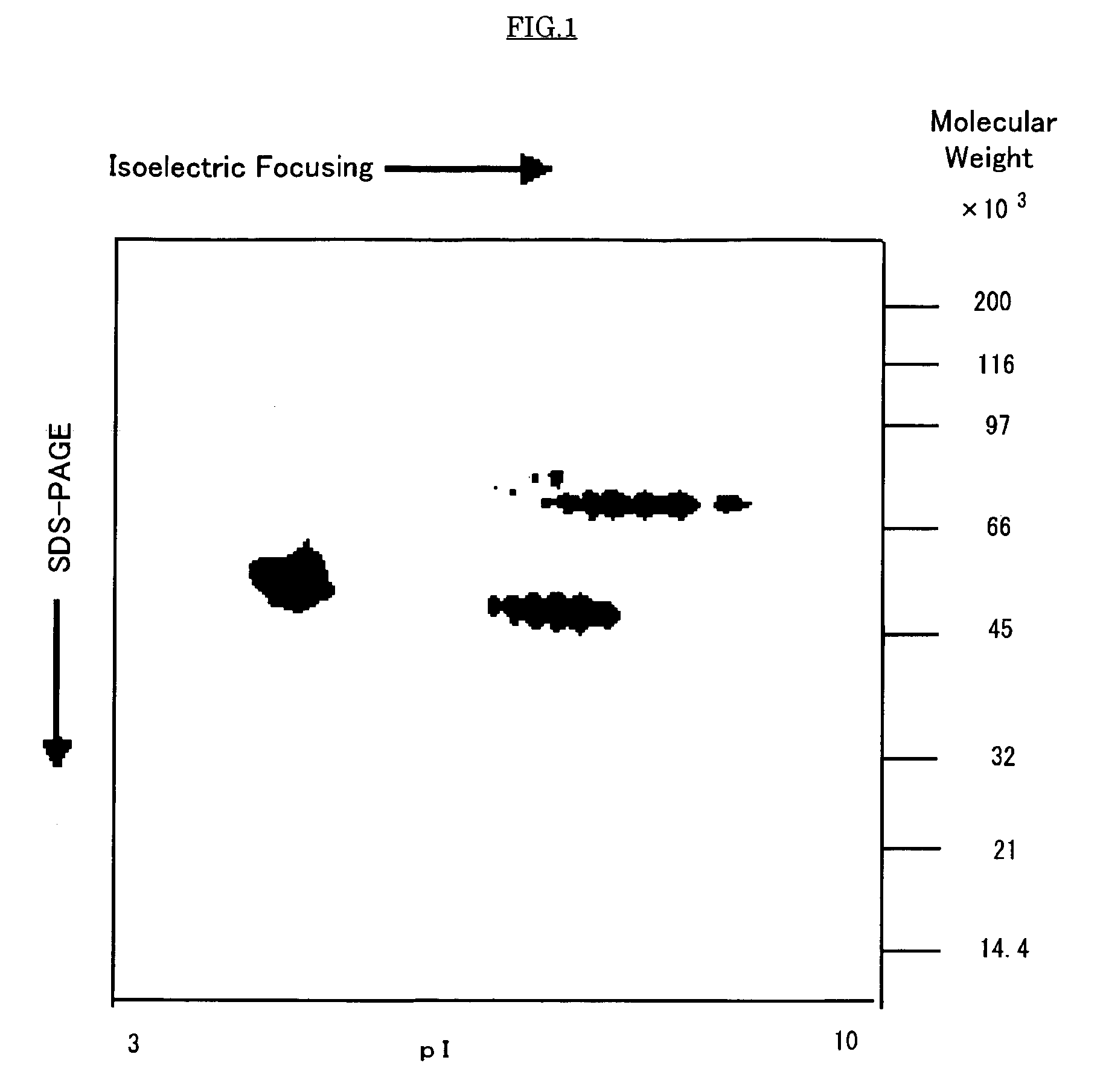 Antiallergic agent