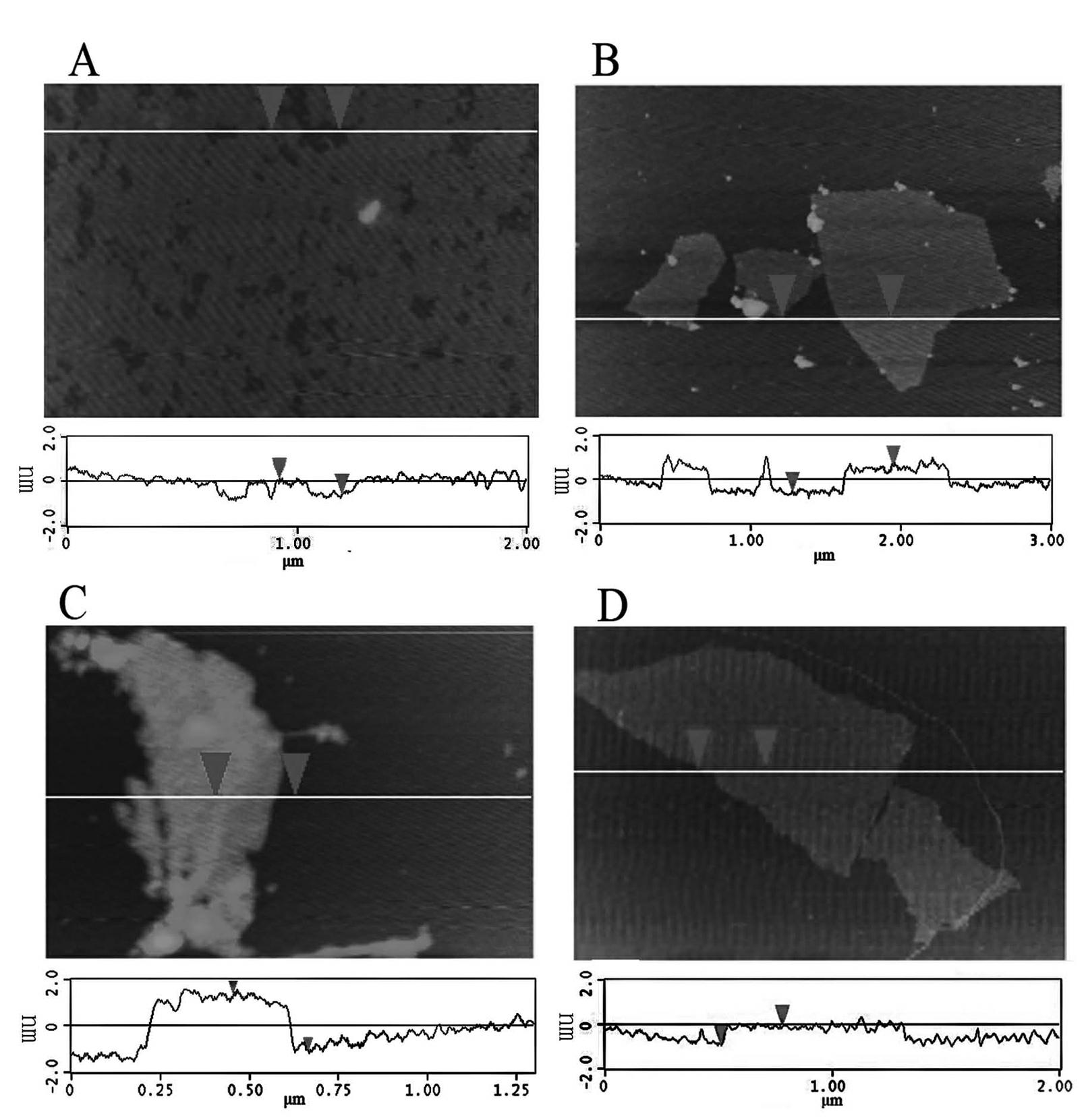 Method for fixing terpyridyl ruthenium on surface of electrochemical electrode