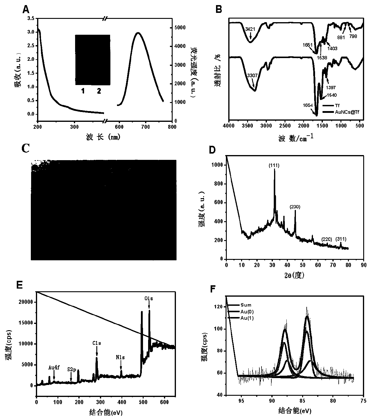 Gold nanocluster using transferrin as template, and preparation method and application thereof