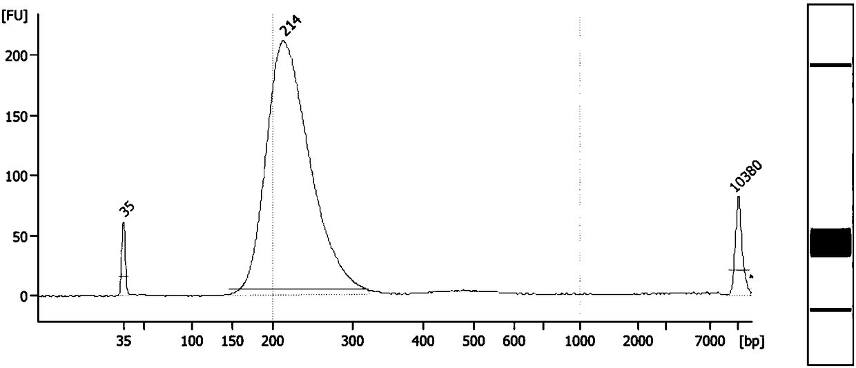 Simplified library construction method and reagent