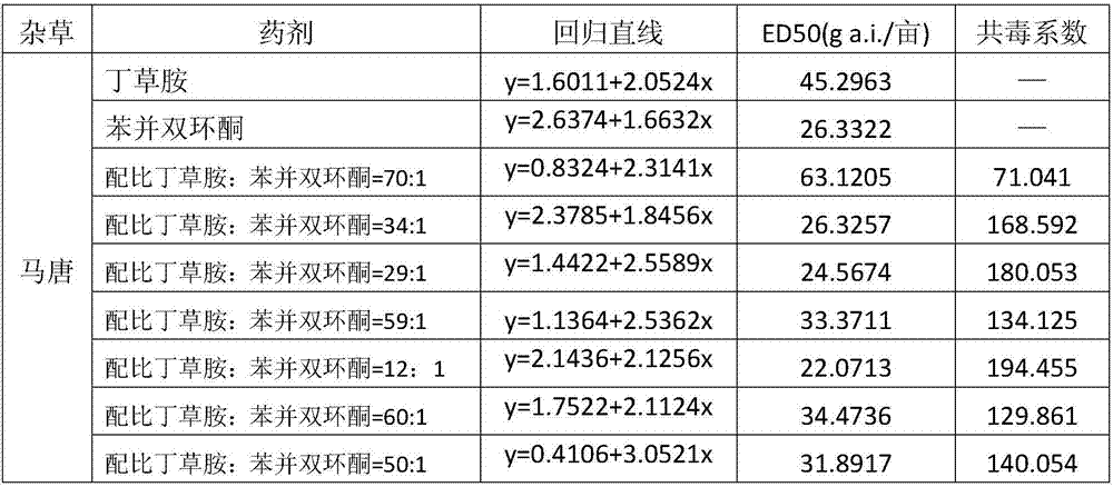 Weeding composition containing benzobicyclon and butachlor, and applications thereof