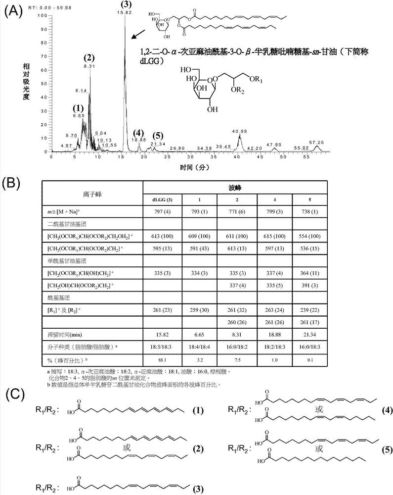 Galactolipids-enriched plant extracts and the uses thereof