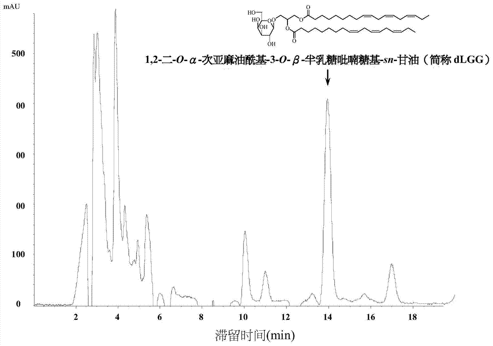 Galactolipids-enriched plant extracts and the uses thereof