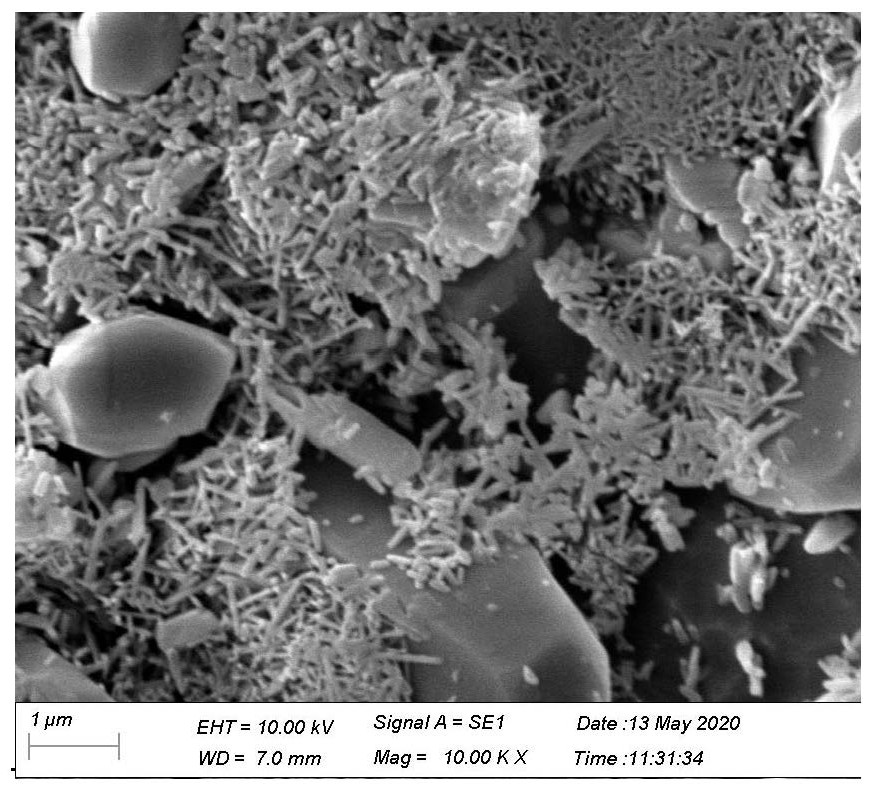 Green body for high-strength thin ceramic plate, high-strength thin ceramic plate and preparation method thereof