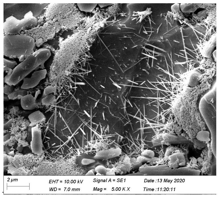 Green body for high-strength thin ceramic plate, high-strength thin ceramic plate and preparation method thereof