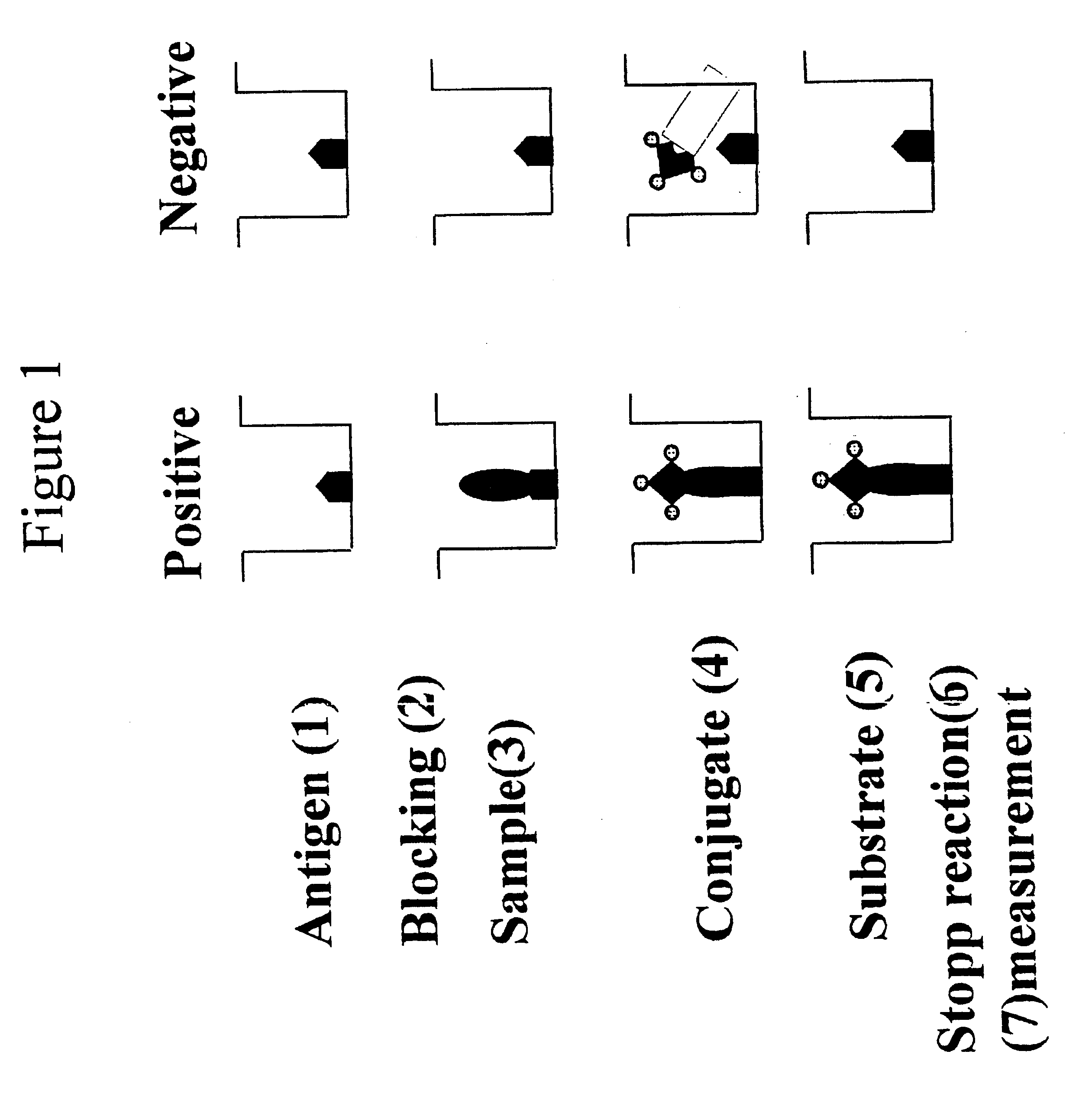 Method and composition for the diagnosis of equine infectious anemia virus disease by using the recombinant capsid protein virus (p26)