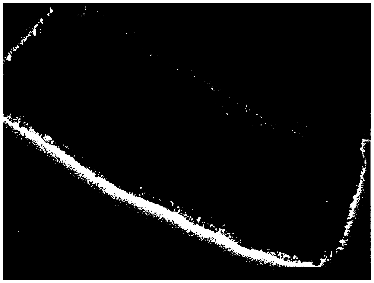 Iron-doped porous indium oxide gas sensitive material and preparation method and application thereof