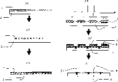 Manufacturing method of SU-8 nano fluid system