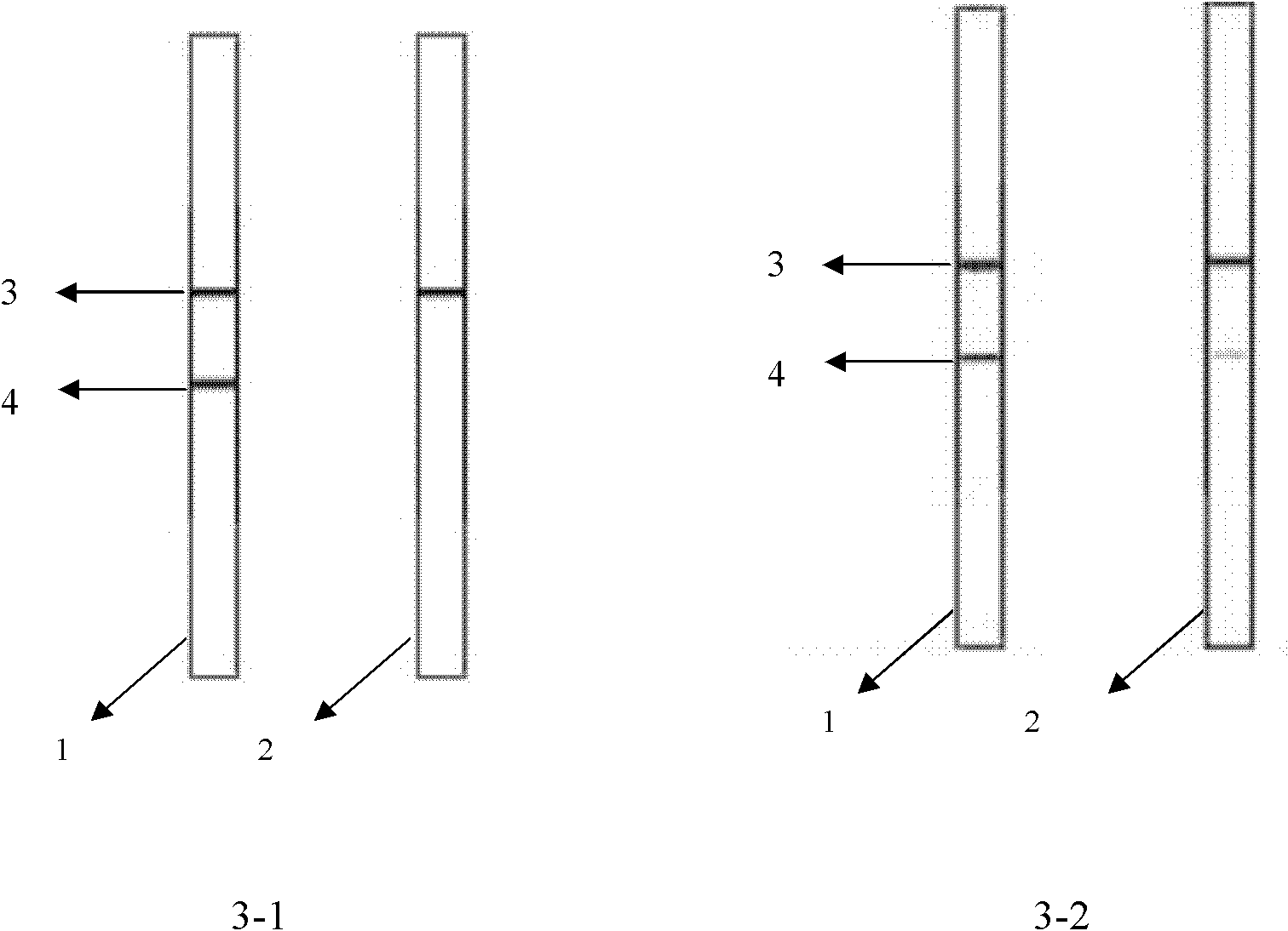 Hybridoma cell line 1C11 and anti-aflatoxin general monoclonal antibody generated by same as well as applications thereof