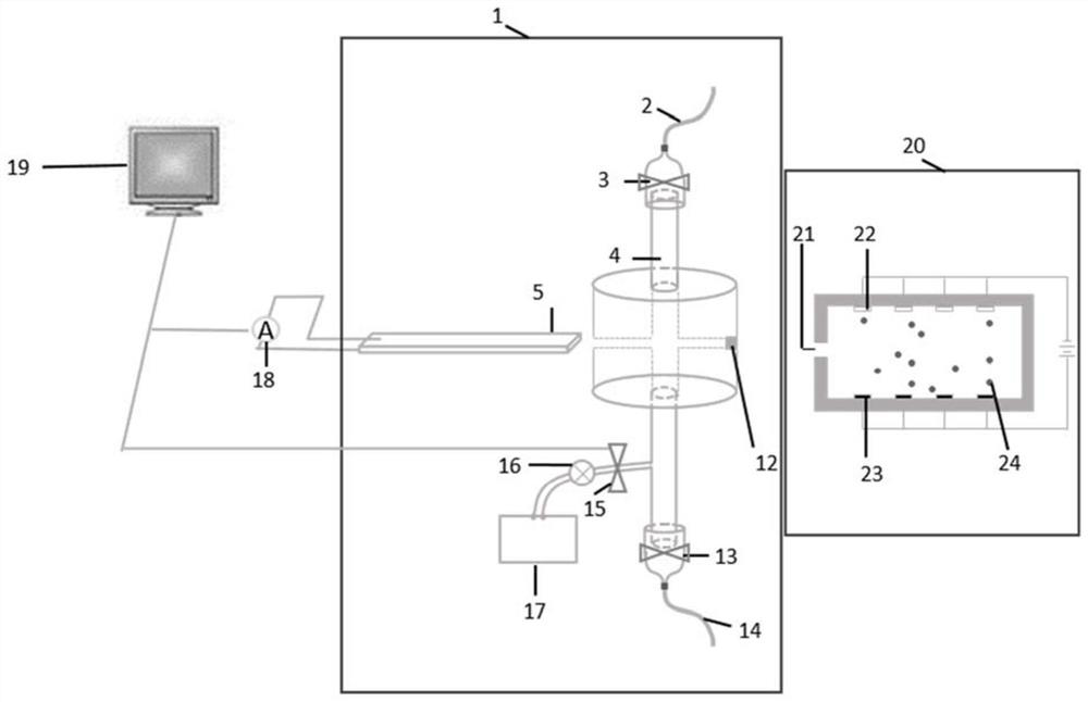 Instrument for in vitro functionalization of circulating tumor cells in living animals