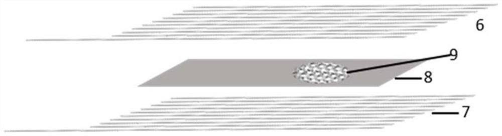 Instrument for in vitro functionalization of circulating tumor cells in living animals