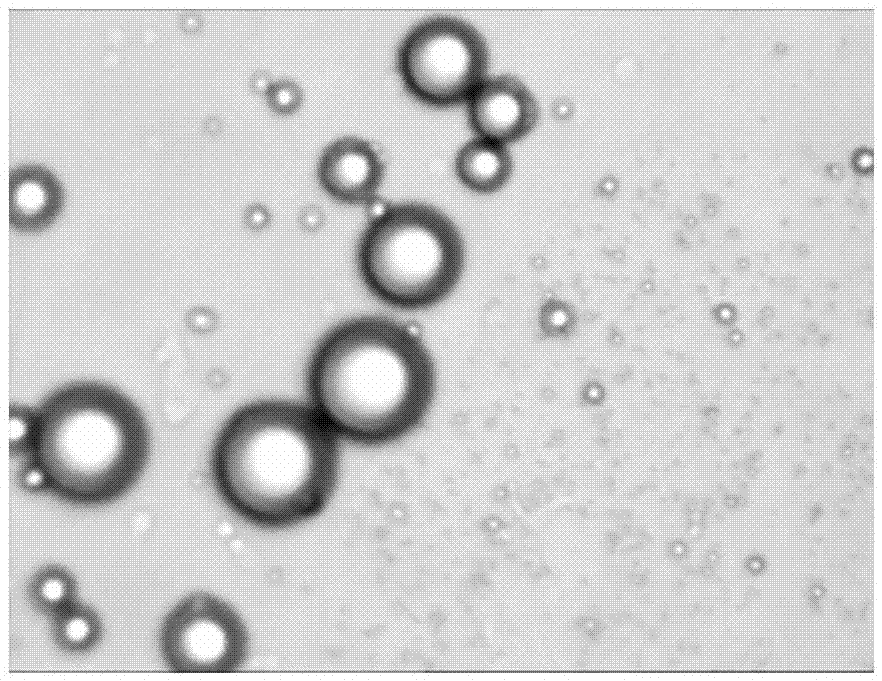 Dendrolimus punctatus (walker) sex pheromone microcapsule and preparation method thereof