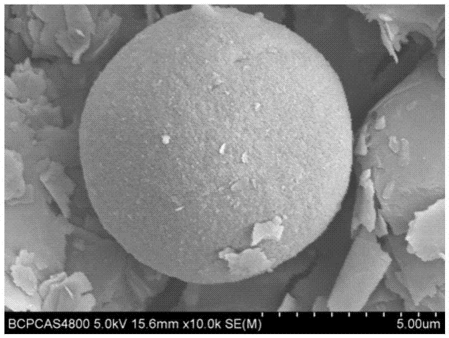 Dendrolimus punctatus (walker) sex pheromone microcapsule and preparation method thereof