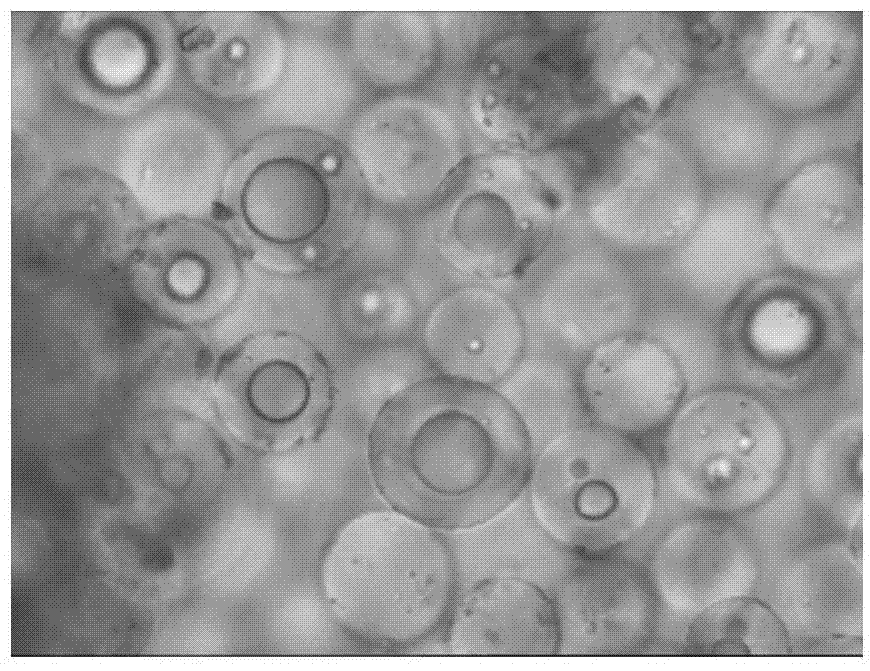 Dendrolimus punctatus (walker) sex pheromone microcapsule and preparation method thereof