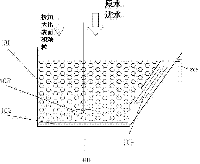 Biological strengthening treatment water system for large specific surface area particles