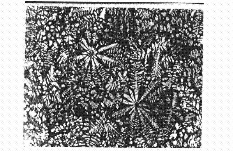 Specimen preparation and organization exposure method of metallic phase of zinc and alloy thereof