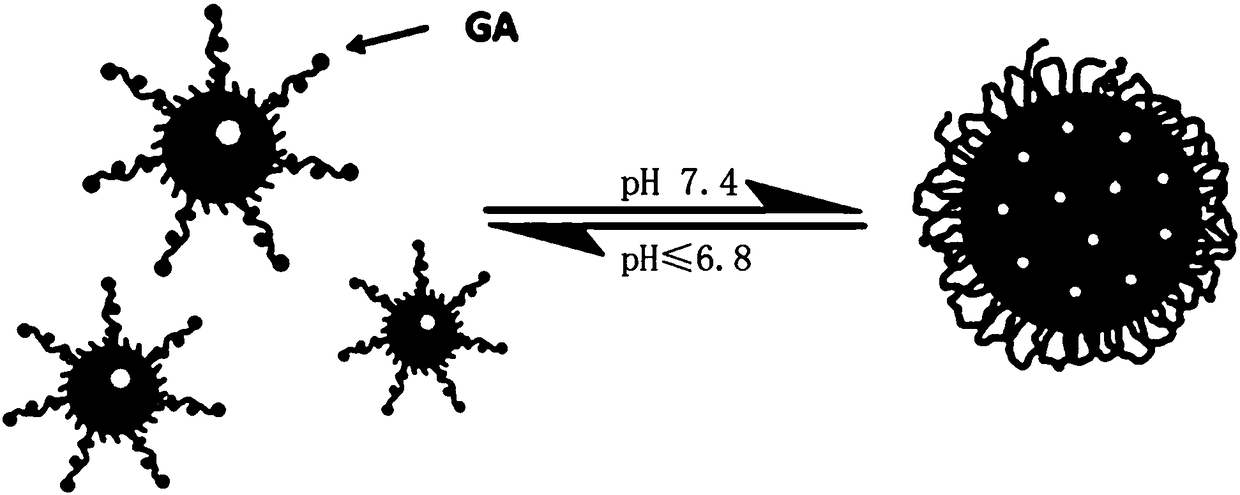 A kind of nano-gold CT contrast agent for early diagnosis of liver cancer and preparation method thereof